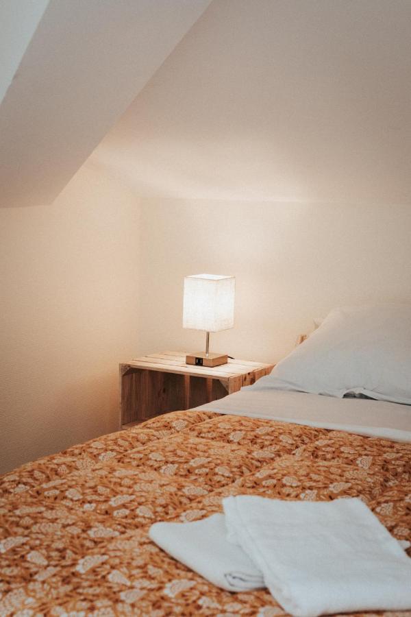 F3 Duplex Lumineux Amazonia Hypercentre Lamartine 203 Apartment *